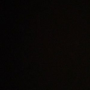 Meet your Posher, Audrey